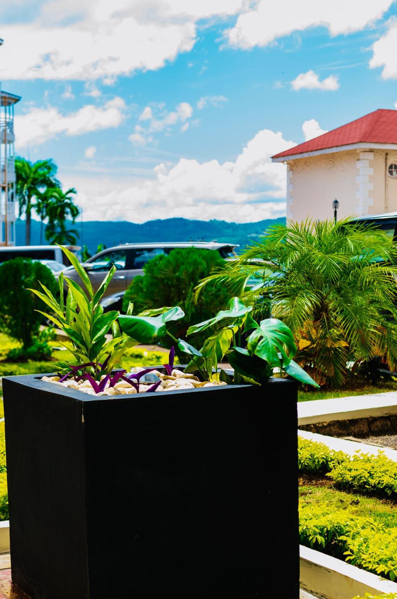 Falcon Shoreline- Airport Pickup Available - Gated-Security Montego Bay Exteriér fotografie